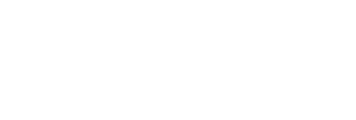 Logo Distriplus